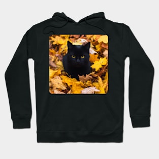 Black Cat in Autumn 1 Hoodie